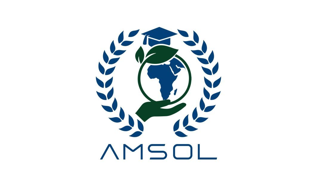 AMSOL